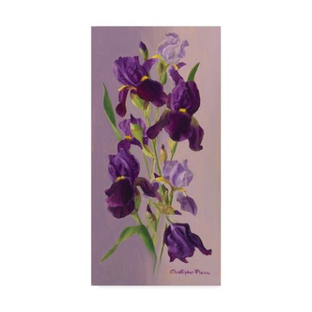 Christopher Pierce 'Study In Lavender' Canvas Art,12x24